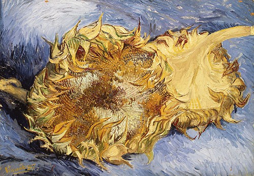 Vincent van Gogh Sunflowers